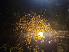 20231104_185459.jpg