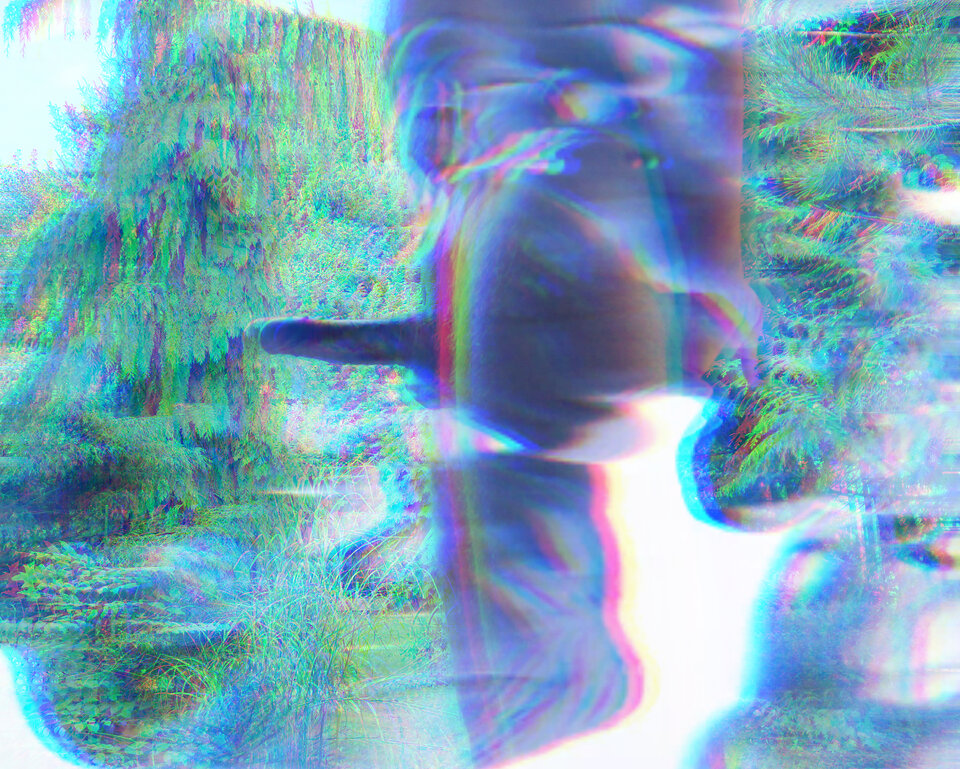Lumii_20231105_015424033.jpg - Arturek1969