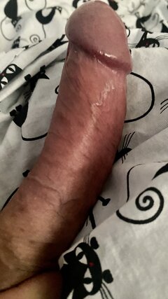 IMG_0954.jpeg