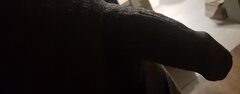 20231105_105705.jpg
