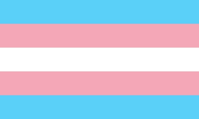 Transgender_Pride_flag.jpeg - nhuikm2486