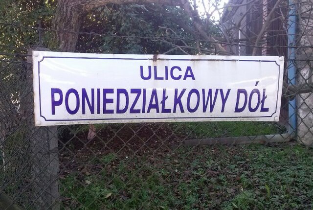 parkaczyczy
