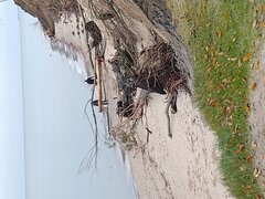 IMG_20231105_113803856.jpg