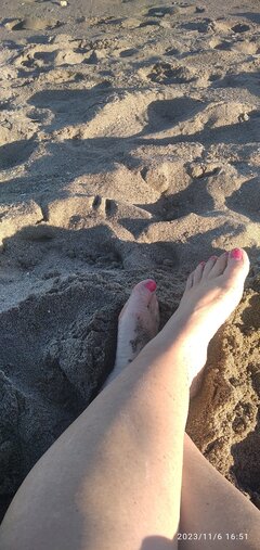 IMG_20231106_165102_1.jpg