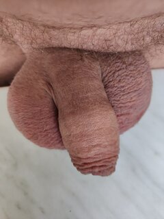 1000010210.jpg