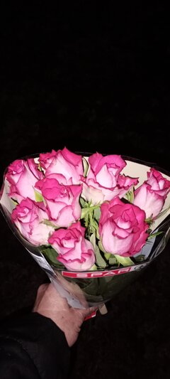 IMG_20231108_181009.jpg
