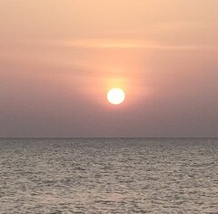 IMG_20231108_205335.jpg