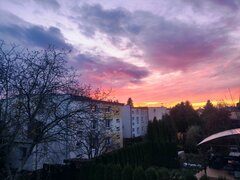 IMG_20231104_160632.jpg