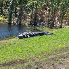 IMG_20230303_110512_290.jpg