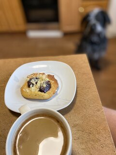 IMG_7118.jpeg
