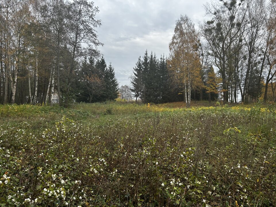 Plaża NN - ciekawiols