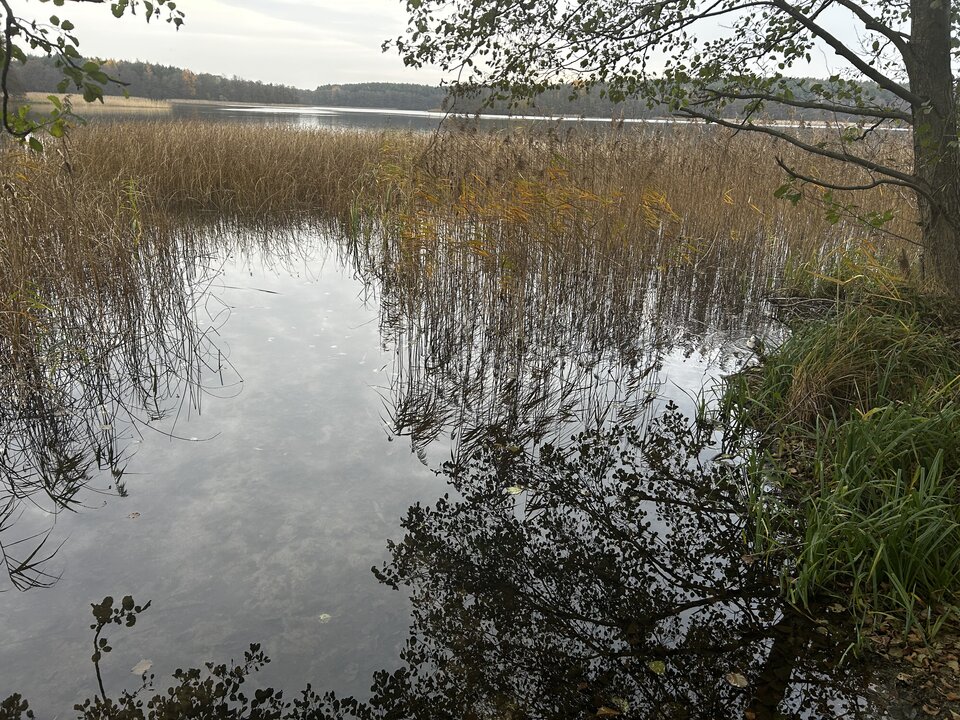 Plaża NN - ciekawiols
