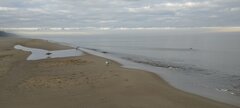 IMG_20231111_084019.jpg