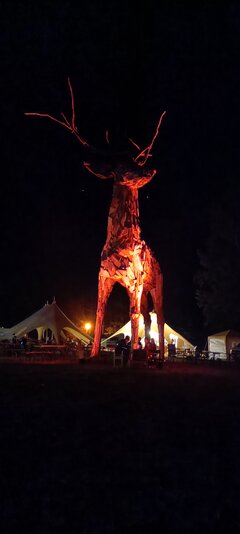 IMG20230723234239.jpg
