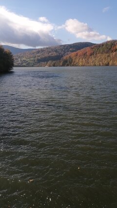 IMG-20231108-WA0013.jpeg