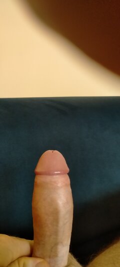 IMG20231113125737.jpg