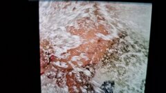 IMG-20231112-WA0017.jpeg