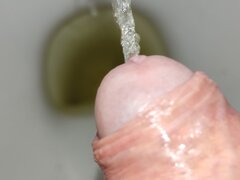 IMG_20231116_100301.jpg