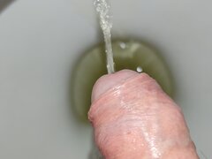 IMG_20231116_100255.jpg
