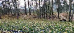 20231116_132244.jpg