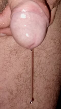 IMG_20231118_065549.jpg