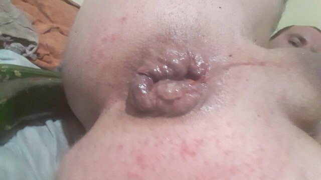 uleglydlapani35