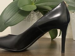 IMG_7329.jpeg