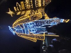 20231118_162751.jpg