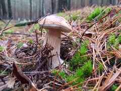 20231119_082222.jpg