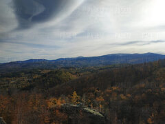 IMG-2023111.jpg