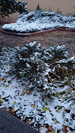 20231122_064759.jpg