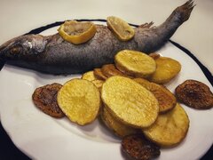 IMG_3650.jpeg
