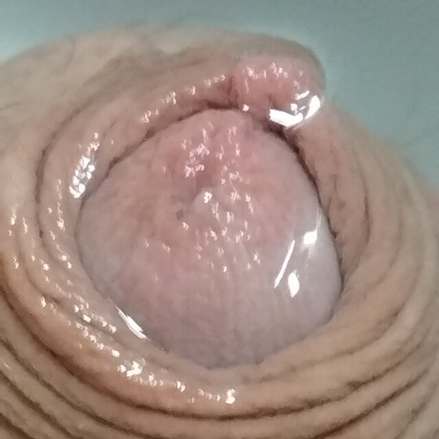 matuzalem000