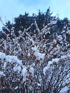 20231127_104604.jpg