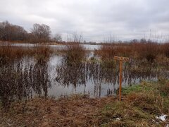 IMG_20231125_120910.jpg