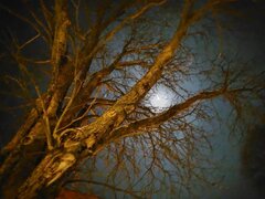 IMG_20231127_222010.jpg
