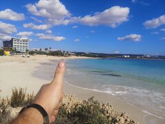 IMG_20231128_110713.jpg