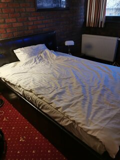 IMG_20231129_074438.jpg
