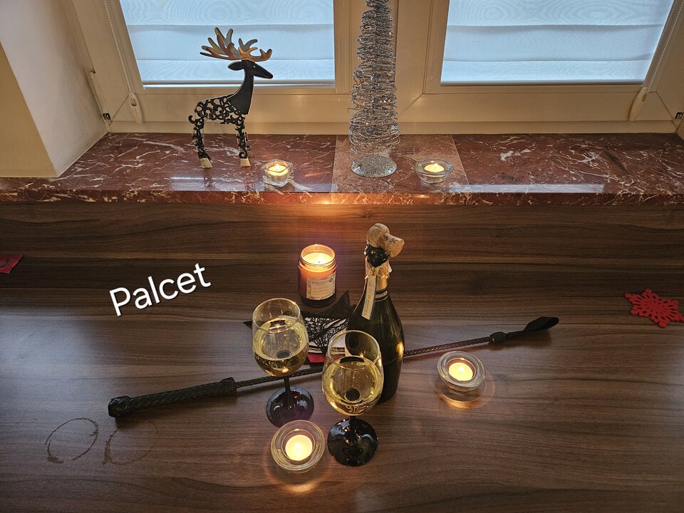 1000013009.jpg - Palcet