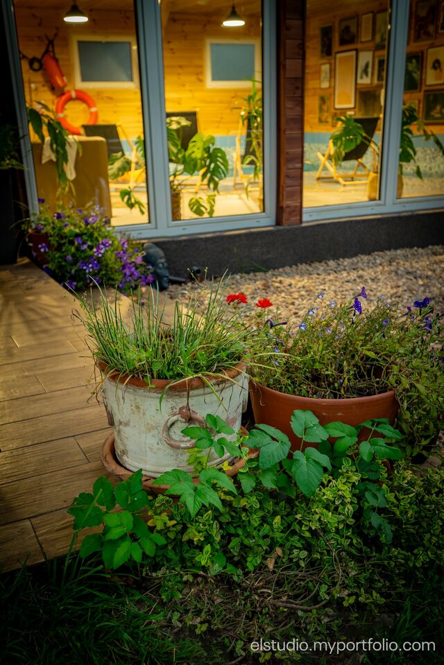 Orzechowy__domek