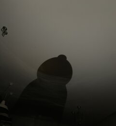 IMG_9631.jpeg