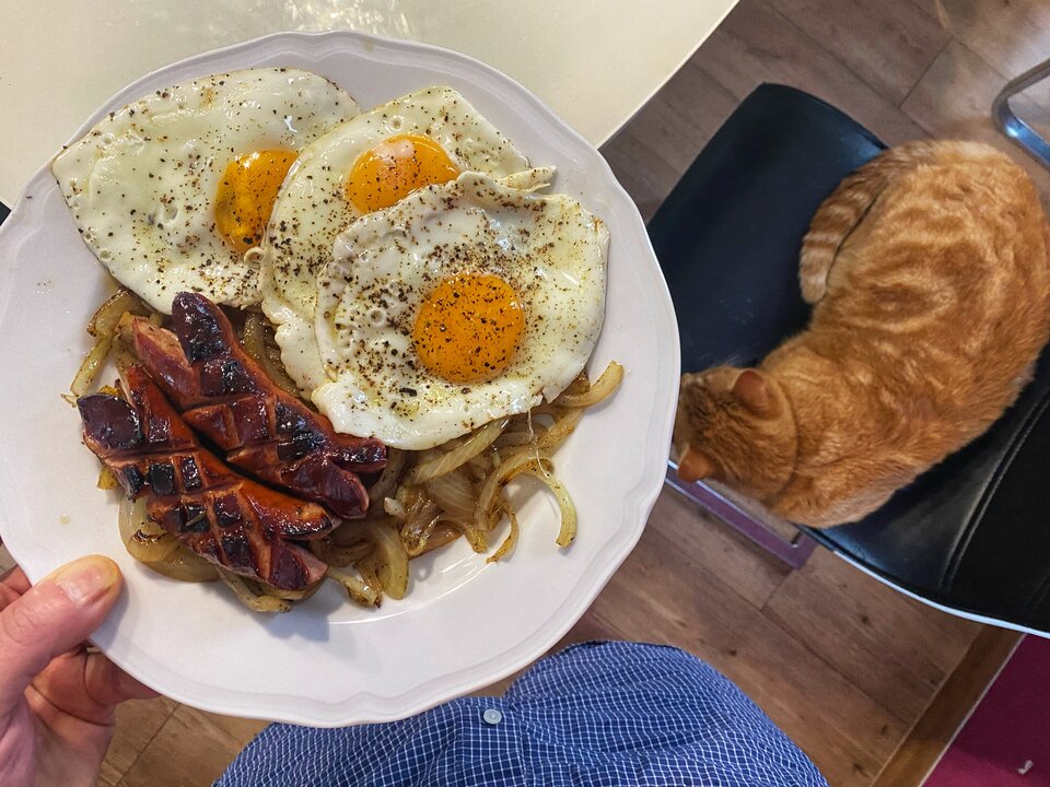 🥚🌭 - serialowapara19782