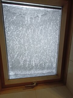 IMG20231202110955.jpg