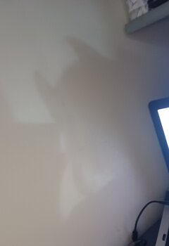 20231202_191342.jpg