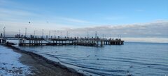 IMG_20231203_114917.jpg