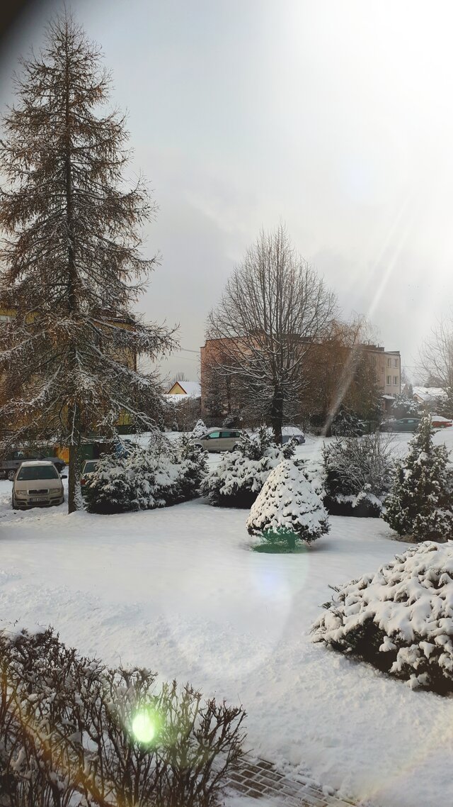 blackgreeg