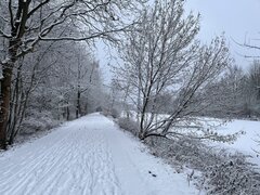 IMG_1575.jpeg
