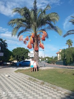 IMG_20230930_162449.jpg
