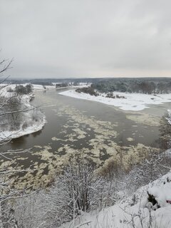 IMG_20231203_094815.jpg