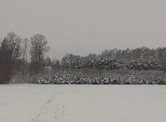 20230121_134042.jpg